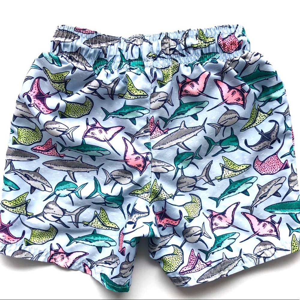 Cat & Jack | Stingrays & Sharks RashGuard & Trunks - Picture 8 of 8